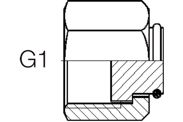 A06ORF-V
