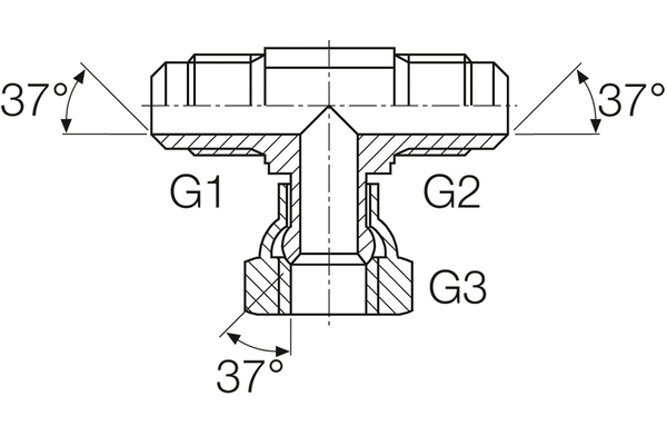 A21JM-21JM-21JF