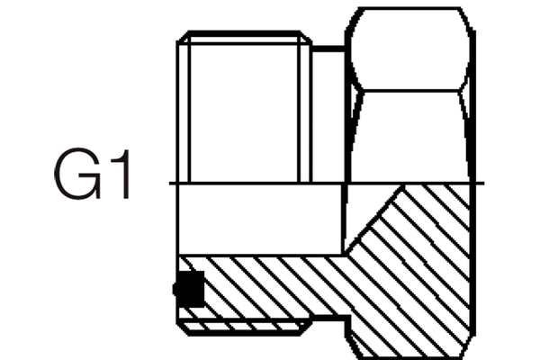A24ORM-V