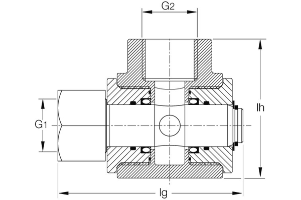 DG2NI16-W