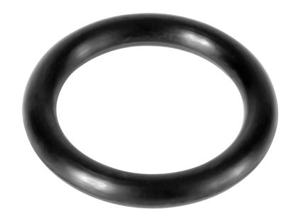 O-ring for mounting rail nut